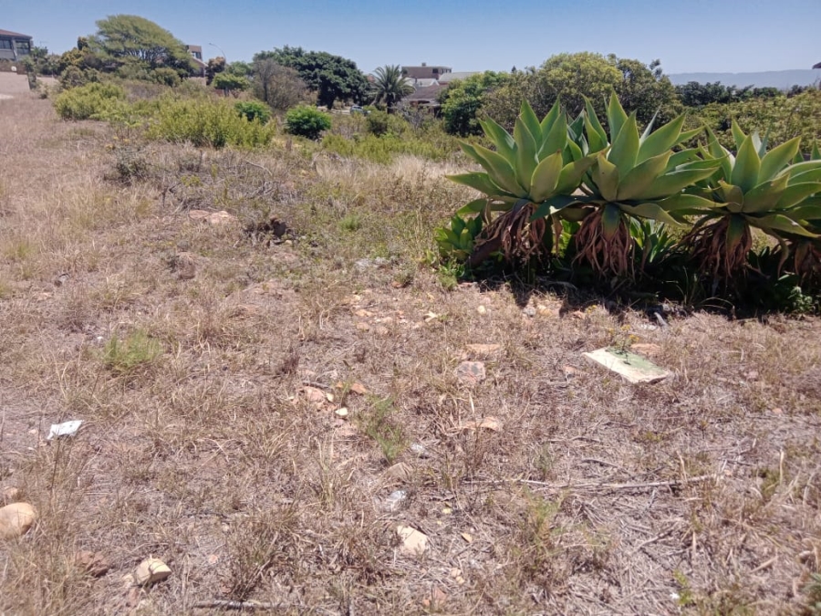 Commercial Property for Sale in Wavecrest Eastern Cape